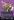 Waxen+Shapethief+%28336%29+%28Borderless%29