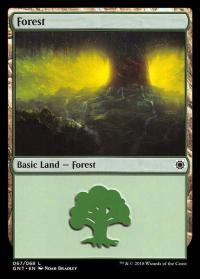 Forest (67) - Game Night