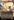 Belligerent+Yearling+%280320%29+%28Borderless%29
