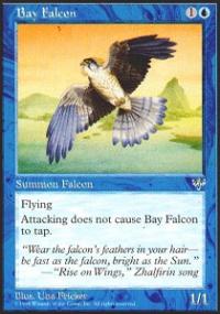 Bay Falcon - Mirage