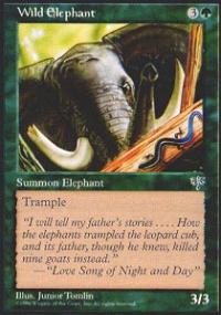 Wild Elephant - Mirage