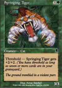 Springing Tiger - Odyssey