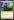 Baird%2C+Steward+of+Argive+%28DOM+Prerelease%29