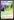 Anointed+Procession+%28AKH+Prerelease%29