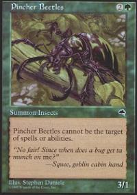 Pincher Beetles - Tempest