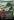 Nature%26%23039%3Bs+Will+%28082%29+%28Anime+Borderless%29
