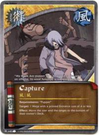 Capture - A New Chronicle