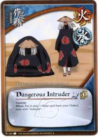 Dangerous Intruder - A New Chronicle