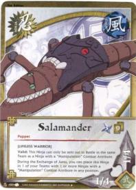 Salamander - A New Chronicle