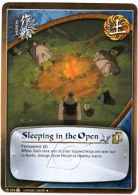 Sleeping in the Open - Fateful Reunion