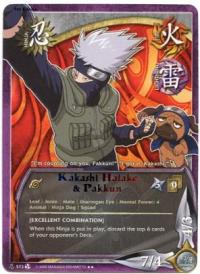Kakashi Hatake & Pakkun - Fateful Reunion