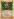 Hitmonchan+%287%29+%28Shadowless%29