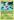 Shaymin+%288%29
