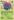 Vileplume+%2824%29