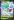Shaymin+V+%2813%29