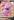 Granbull+V+%28159%29