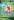 Starmie+V+%28166%29