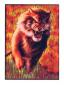 Pack of 50 Liger sleeves *clearance*