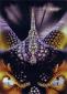Pack of 50 Artist Series - Elmore Dragon Eyes *CLEARANCE*