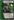 Doom%27s+Throne+Room
