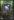 Siren%26%23039%3Bs+Tear+Crafting+Material+-+10+pack