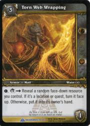 Torn Web Wrapping - Naxxramas Treasure